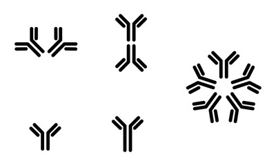 シンプルな抗体
