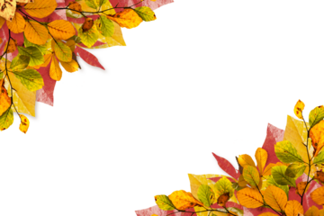 Digital png illustration of autumn leaves frame with copy space on transparent background