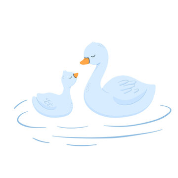 Cute baby and mama Swan. Vector cartoon illustration for children. Duck family