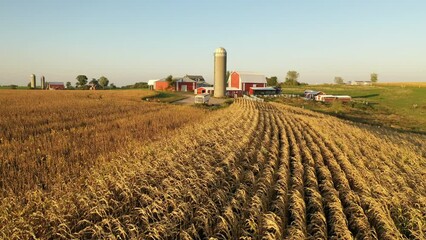 Aerial view of the Midwest USA in autumn. Rural landscape, countryside. Farmland, Agriculture field - Powered by Adobe