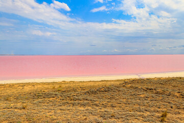 View of the pink salty Syvash lake in Kherson region, Ukraine