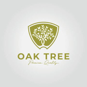 simple oak tree vector logo emblem, illustration of an oak tree design in a triangle badge