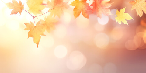 Obraz premium autumn leaves background