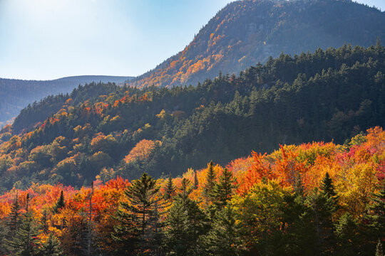 autumn landscape of mountain and forest in white mountain NH