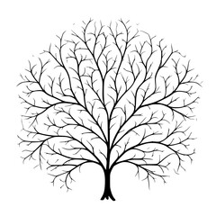 Obraz premium Tree Flower Twig Line art abstract Simple Object Minimalist Black Art 