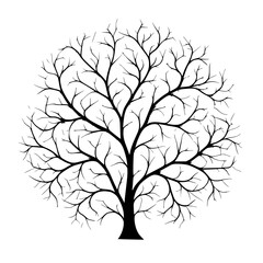 Obraz premium Tree Flower Twig Line art abstract Simple Object Minimalist Black Art 