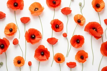 Foto op Plexiglas creative display of vibrant poppy flowers on a white backdrop. aerial perspective providing room for texts. Generative AI © Virelai