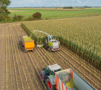 Hamburg, Germany - October 11, 2023: Claas Jaguar 960 maize chopper and FENDT 714 Vario tractor with Veenhuis Super Silagewagon during the maize harvest