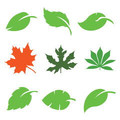 Leaves icon vector set isolated on white background. Various shapes of green leaves of trees and plants. Elements for eco and bio logos.