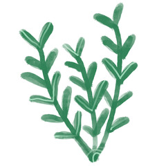 Watercolor green flower
