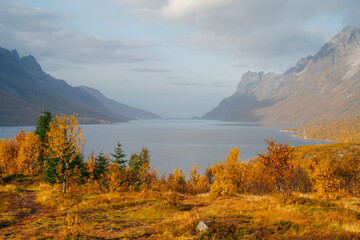 Autumn in Tromso and it's neighbouring island Kvaloya. High quality photo - 660803117