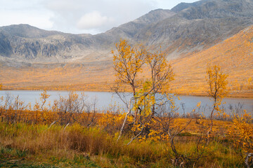 Autumn in Tromso and it's neighbouring island Kvaloya. High quality photo - 660803738