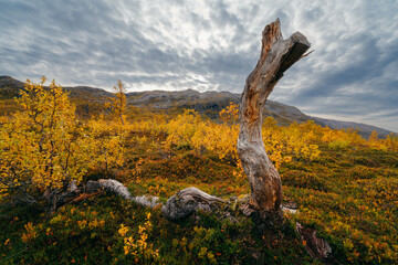 Autumn in Tromso and it's neighbouring island Kvaloya. High quality photo - 660803939