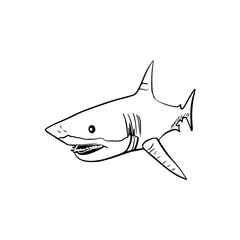 Vector sketch hand drawn silhouette of a shark, line art
