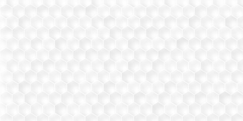 Vector illustration with honeycomb in realistic style. White wall. Horizontal banner. Modern design for wallpaper, flyer, poster.