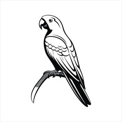 Black And White Parrot Icon On White Background