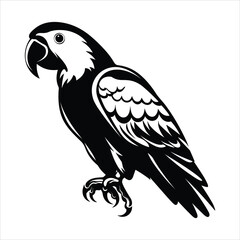 Black And White Parrot Icon On White Background