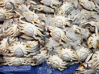 Fresh crab at a traditional market