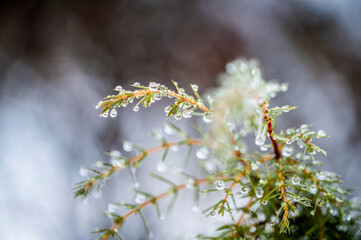 Lake Dobbiaco. Treasure chest among the Dolomites. Winter atmosphere.