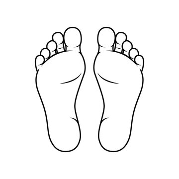 Line foot soles illustration. Bare feet vector isolated on white background. 