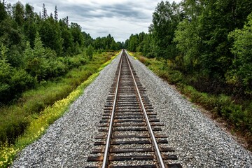 Scenic view of a railroad in a forest of green fir trees in Alaska