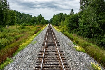 Scenic view of a railroad in a forest of green fir trees in Alaska