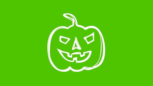 Cartoon Doodle Halloween icons Pack on green screene. Vibrant and dynamic hand-drawn animation pack made up of a collection of various abstract flash fx elements in 4k resolution with alpha channel.