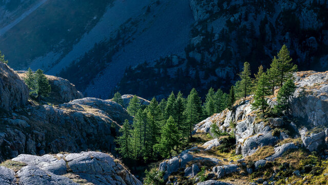 Paysage de montagne autour du Refuge de la Valmasque dans le Parc National du Mercantour en &eacute;t&eacute; en France dans les Alpes-Maritimes