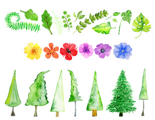 Bäume, Weihnachtsbäume, Blüten und Blätter in Aquarell. Authentische handgemalt