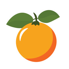 Fresh orange fruit with green leaves, flat design vector illustration