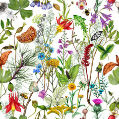 Seamless pattern with watercolor wild flowers. Hand-drawn illustration. - 660825570