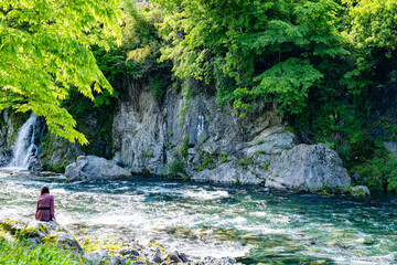 5月の透き通った清流の流れ