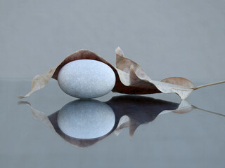 Sea pebble and dry leaf - 660831161