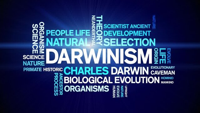 Darwinism animated tag word cloud;text design animation kinetic typography seamless loop.