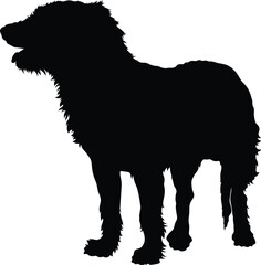 black silhouette of a dog
