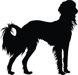 black silhouette of a dog