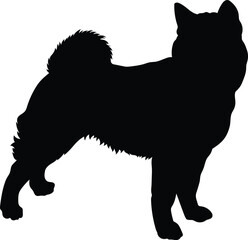 black silhouette of a dog