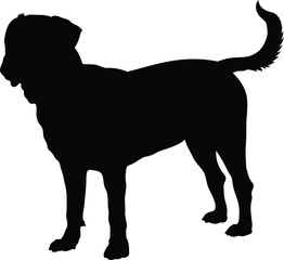 black silhouette of a dog