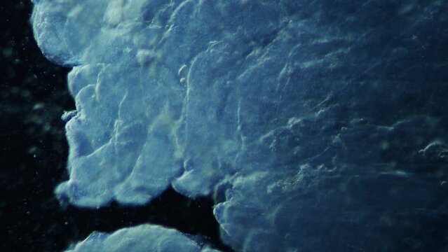 GMO pork meat under a microscope with 100x times magnification. Scientific group to study the impact of consumption of modified food products in human food. Meat allergies and surges in cancer cases.