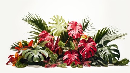 A bunch of tropical plants on a white surface