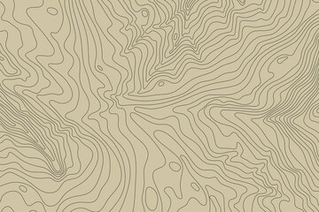 Obraz premium Topographic map background concept with space for your copy.Vector abstract illustration.Geography concept.