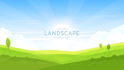Fotobehang Rural landscape. Fields and meadows covered with green grass, flowers and trees. Summer sunny day, clear sky. Agriculture, farm, land, fields. Banner, postcard, background design. Vector image. © i_mARTy