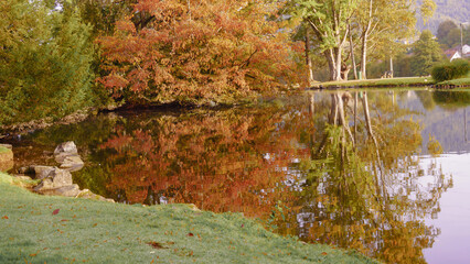 Herbstlich gefärbtes Laub spiegelt sich im Wasser