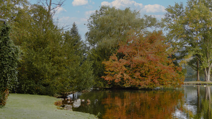 Teich in die Natur eingebettet