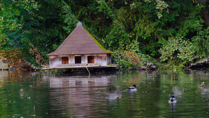 Schutzhütte für Enten und Gänse