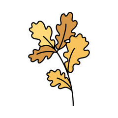 Obraz premium Cute yellow twig with oak leaves. Hand drawn detailed vector illustration.