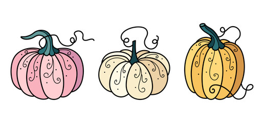 Cute white, pink and yellow autumn pumpkins with ornament. Hand drawn illustrations for Halloween and Thanksgiving decoration.