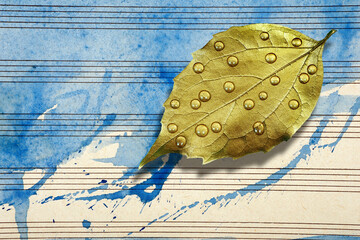 Melody concept. Old music sheet in blue watercolor paint and golden fallen leaf in water drops....