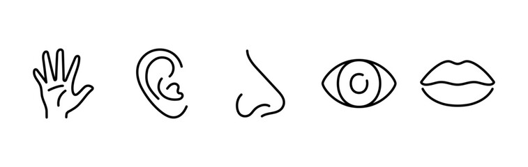 Five human senses editable stroke outline icons set isolated on white background flat vector illustration. Pixel perfect. 64 x 64. - obrazy, fototapety, plakaty