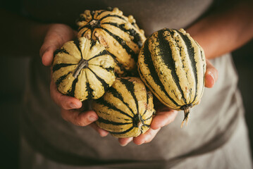 Close up of woman hands holding and showing green pumpkins. October concept lifestyle and food. Vegetables and raw ingredients. Autumn people lifestyle. Indoor cooking at home. Farmer products